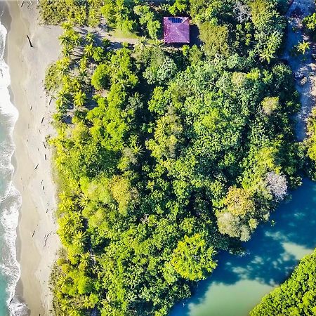 Punta Preciosa Bed & Breakfast Puerto Jimenez Exterior photo