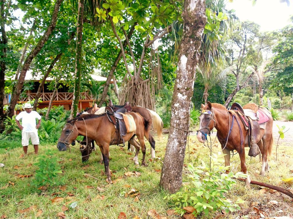 Punta Preciosa Bed & Breakfast Puerto Jimenez Exterior photo
