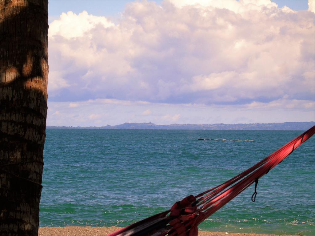Punta Preciosa Bed & Breakfast Puerto Jimenez Exterior photo