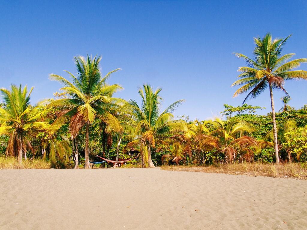 Punta Preciosa Bed & Breakfast Puerto Jimenez Exterior photo