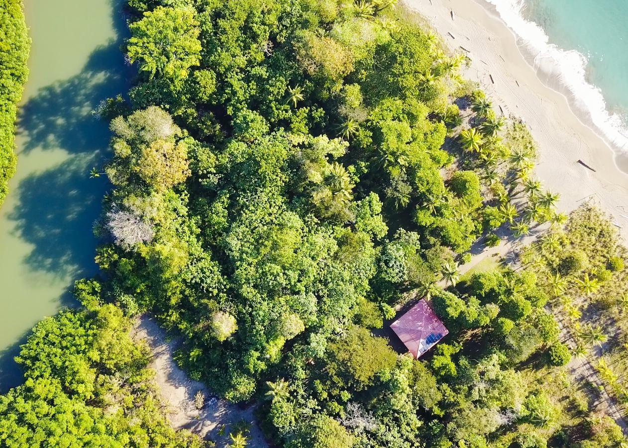 Punta Preciosa Bed & Breakfast Puerto Jimenez Exterior photo