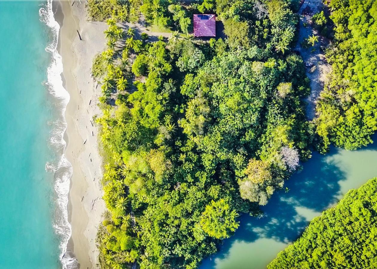 Punta Preciosa Bed & Breakfast Puerto Jimenez Exterior photo